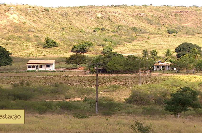  VÍDEOS: Estação Agrícola, 27 de agosto