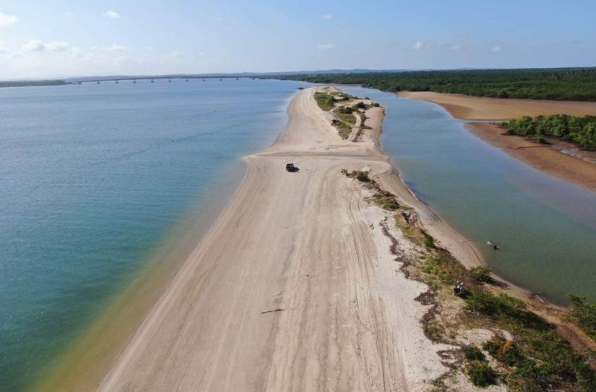  Praia do Viral: pesquisador explica por que ilha em Aracaju corre risco de desaparecer