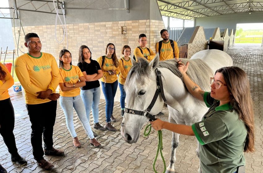  Senar Sergipe oferta cursos profissionalizantes gratuitos; confira