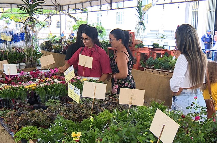  Censo 2022: mulheres são maioria da população de Sergipe; veja índice por cidade