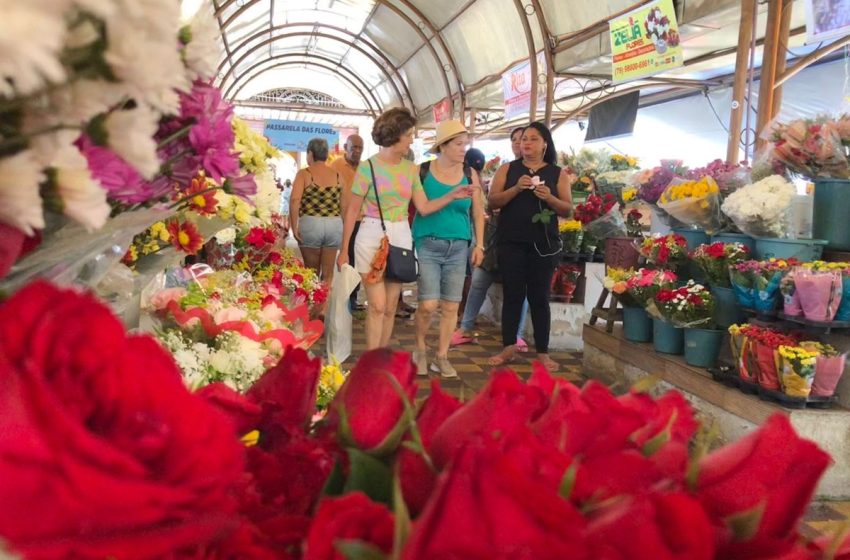  Dia de Finados: veja os preços de flores, arranjos e buquês em Aracaju