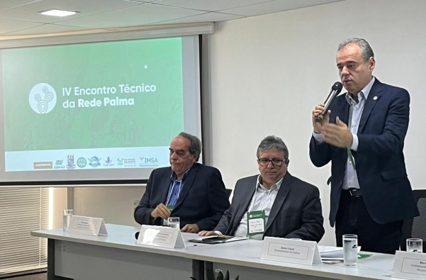  Sudene anuncia investimento de R$ 7 milhões para cultivo de palma para enfrentar a seca