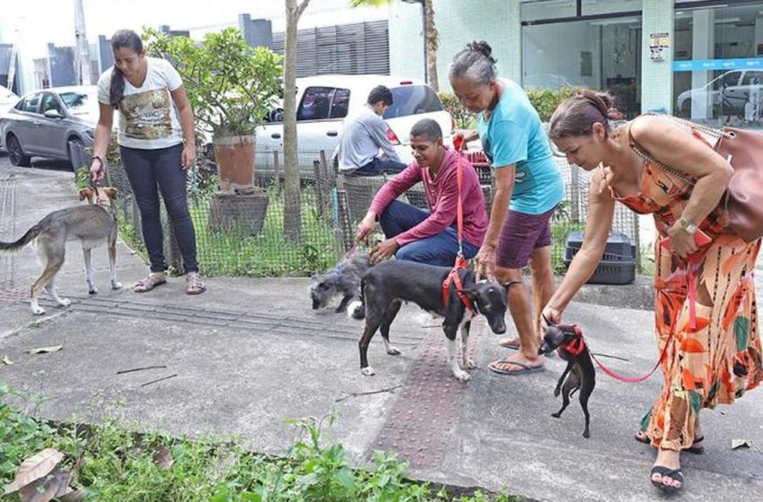  Aracaju realiza campanha de adoção animal neste sábado