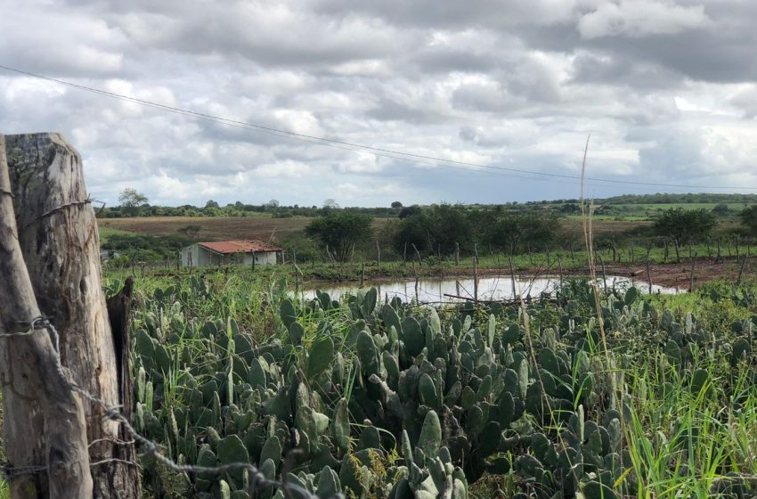  Mais de 19 mil produtores em SE ainda não fizeram cadastro para tarifa rural