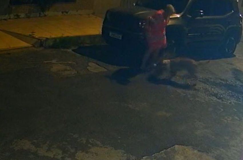 Pitbull ataca mulher e mata cachorro na Zona Sul de Aracaju