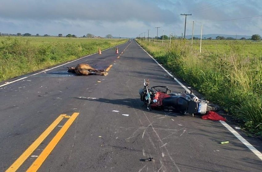  Moto bate em cavalo e condutor morre no município de Tobias Barreto