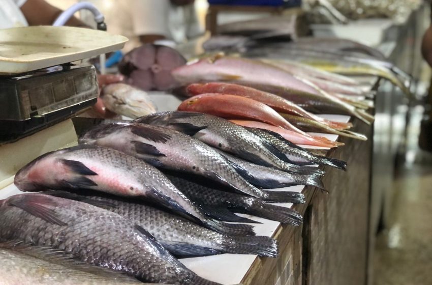  Semana Santa: Procon de Aracaju divulga pesquisa de preços dos pescados