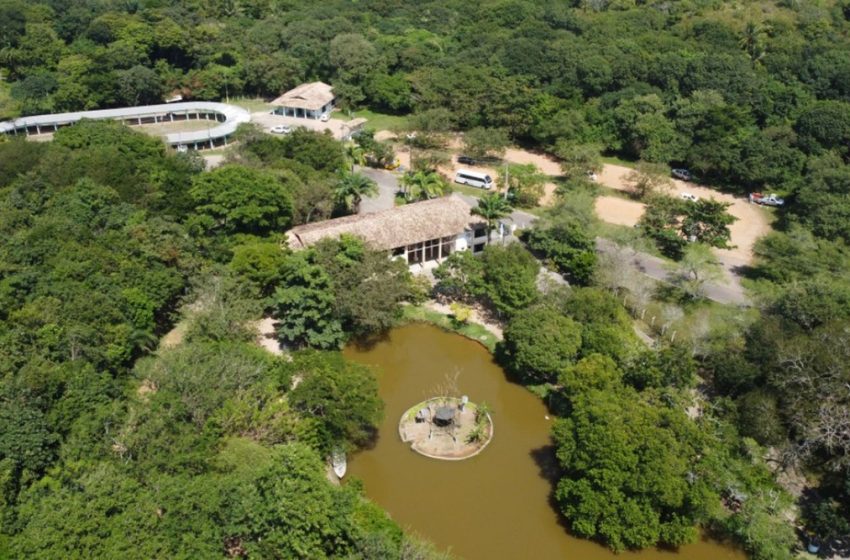  Zoológico do Parque da Cidade, em Aracaju, é temporariamente fechado para reforma