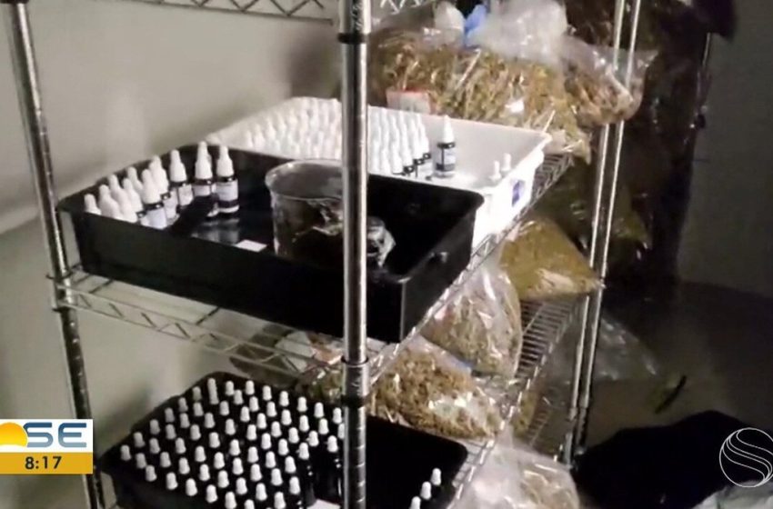  STJ decide pela soltura de dirigentes de ONG que produz medicamentos à base de cannabis em Sergipe