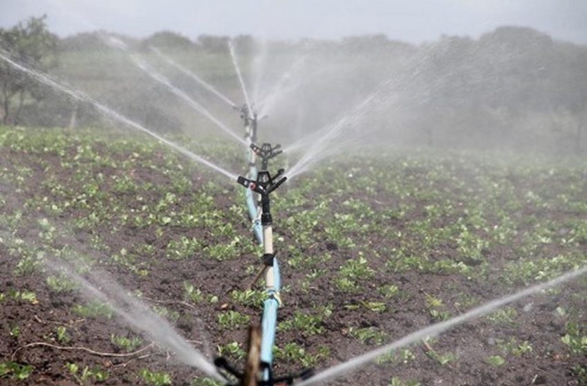  Clientes rurais irrigantes e aquicultores precisam atualizar cadastro