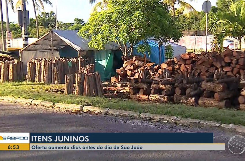  VÍDEOS: Bom Dia Sábado, 15 de junho